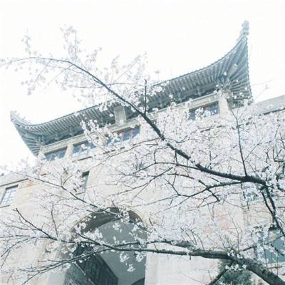 海南省政协民族和宗教委员会原主任林安主动投案接受审查调查