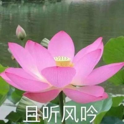黑龙江30日新增确诊病例9例 无症状感染者4例