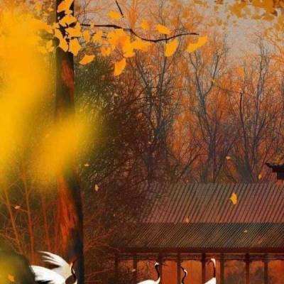 “益动京城” 北京体彩捐赠顺义光爱学校，送去冬天的温暖